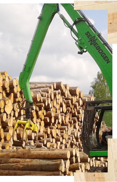 Holz lebt - ein echtes Naturprodukt